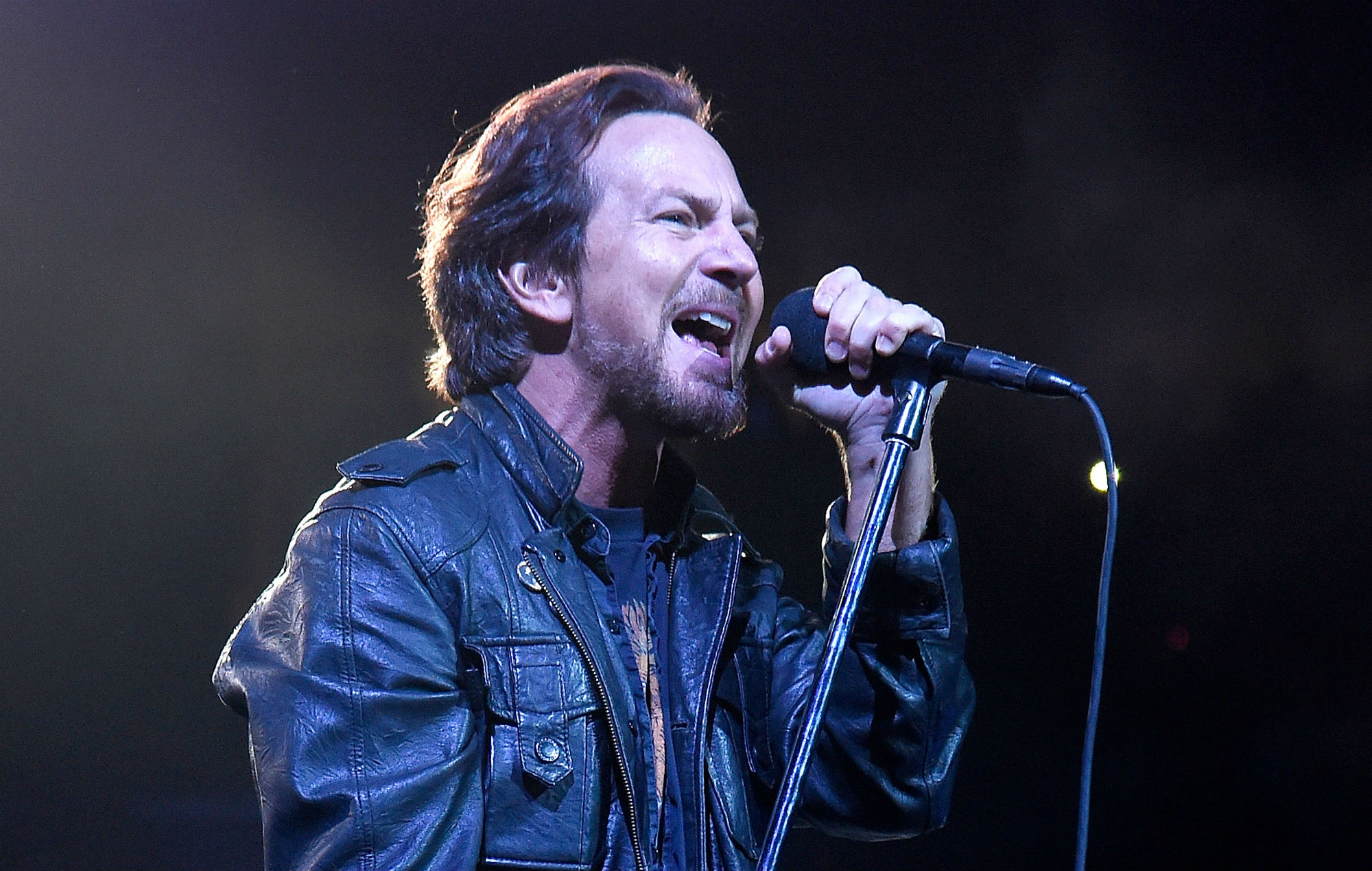 Pearl jam слушать. Группа Pearl Jam. Pearl Jam "Gigaton". Pearl Jam 1994. Pearl Jam "Gigaton (CD)".