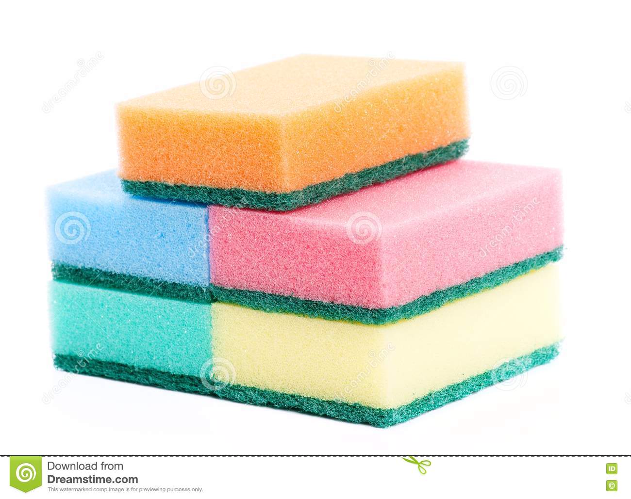Are Kitchen Sponges Alive 