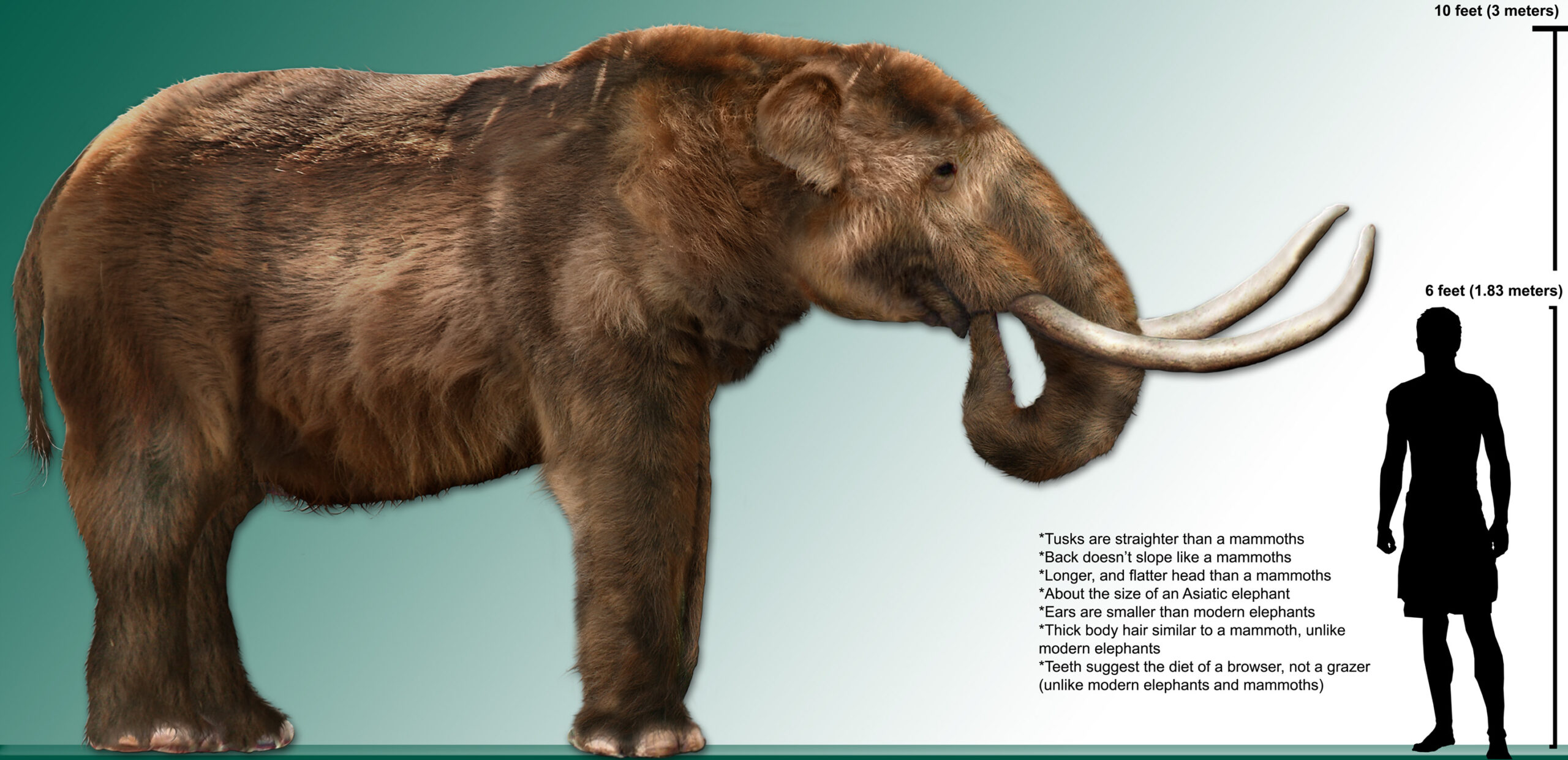 Are mastodons bigger than elephants?
