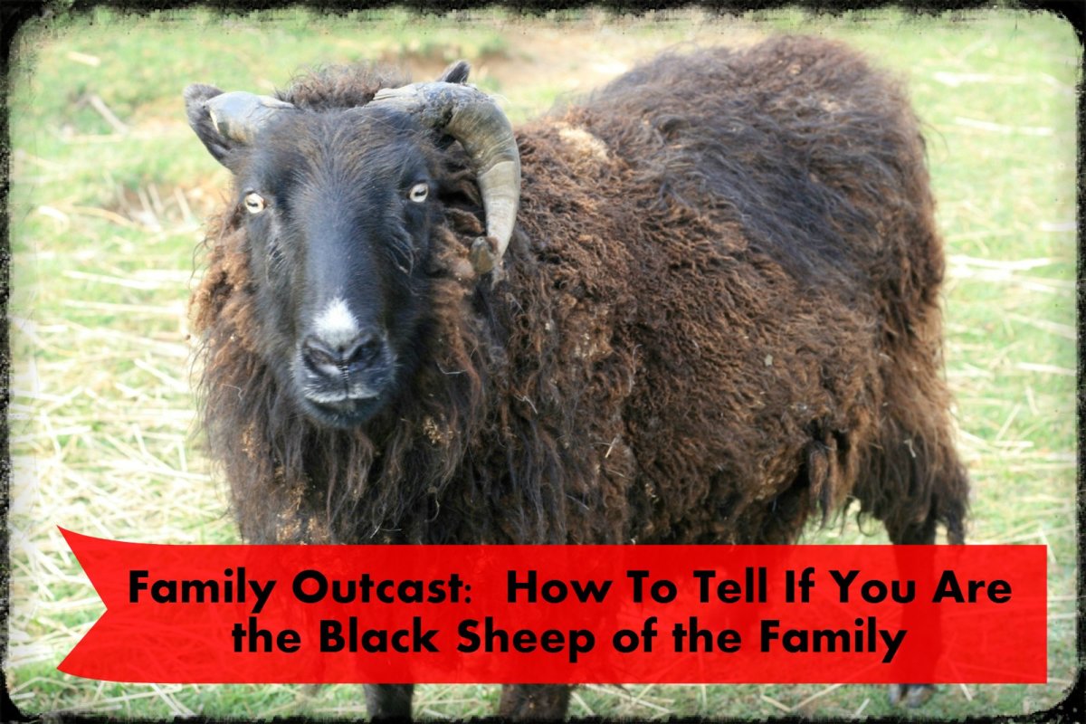 how-do-you-know-if-you-are-the-black-sheep-of-the-family