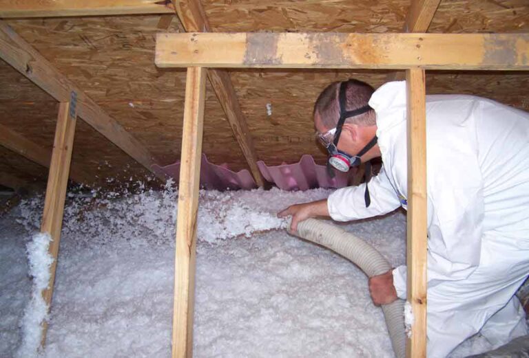 what-animal-products-are-in-insulation