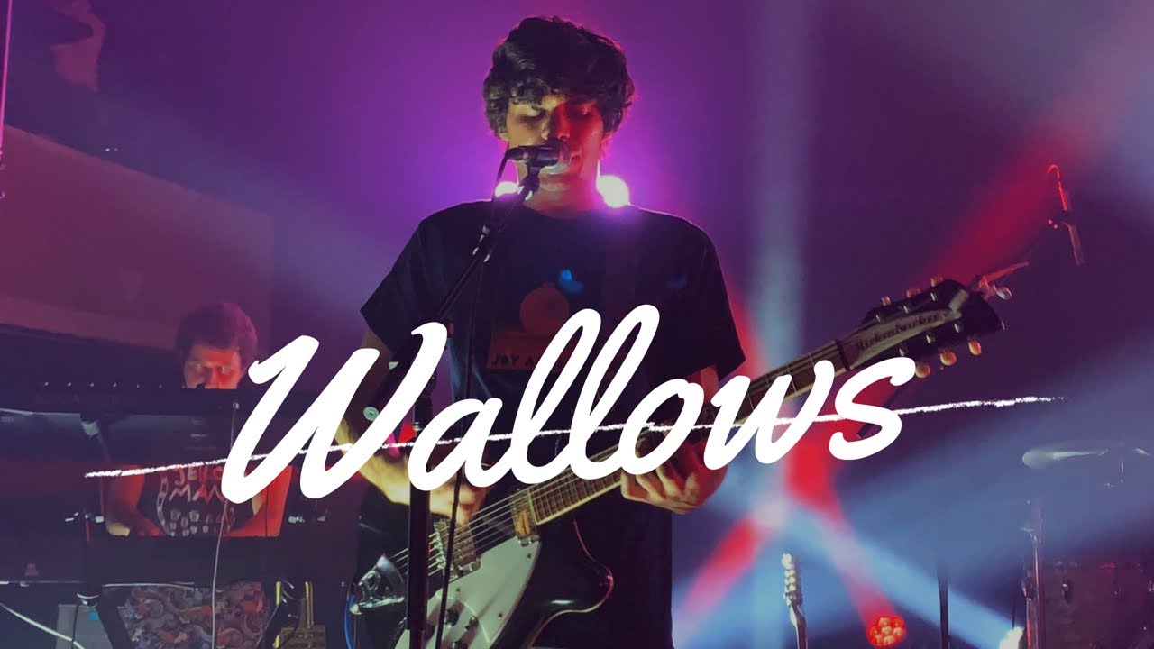 What are Wallows fans called?