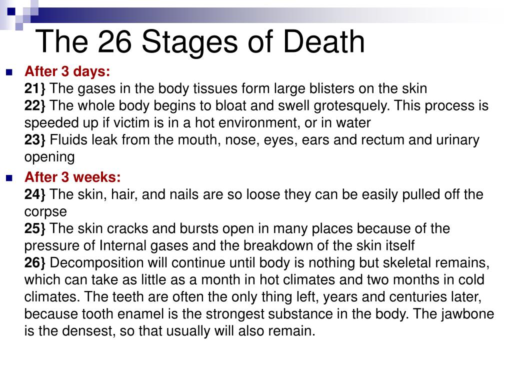 What Are The 3 Stages Of Death 