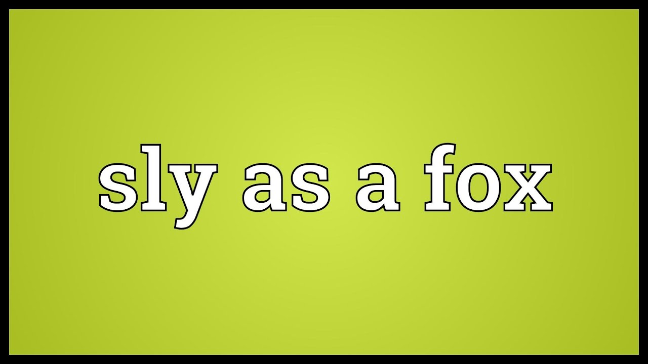 What does Sly Fox mean?