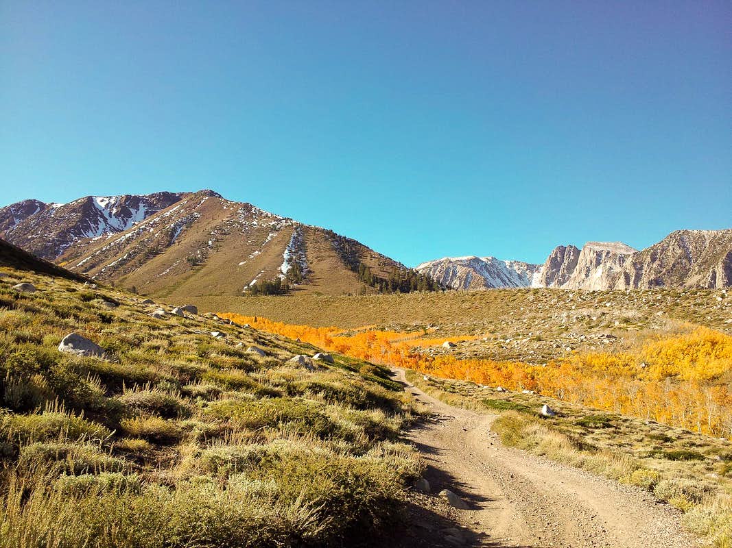 What is Laurel Canyon known for?