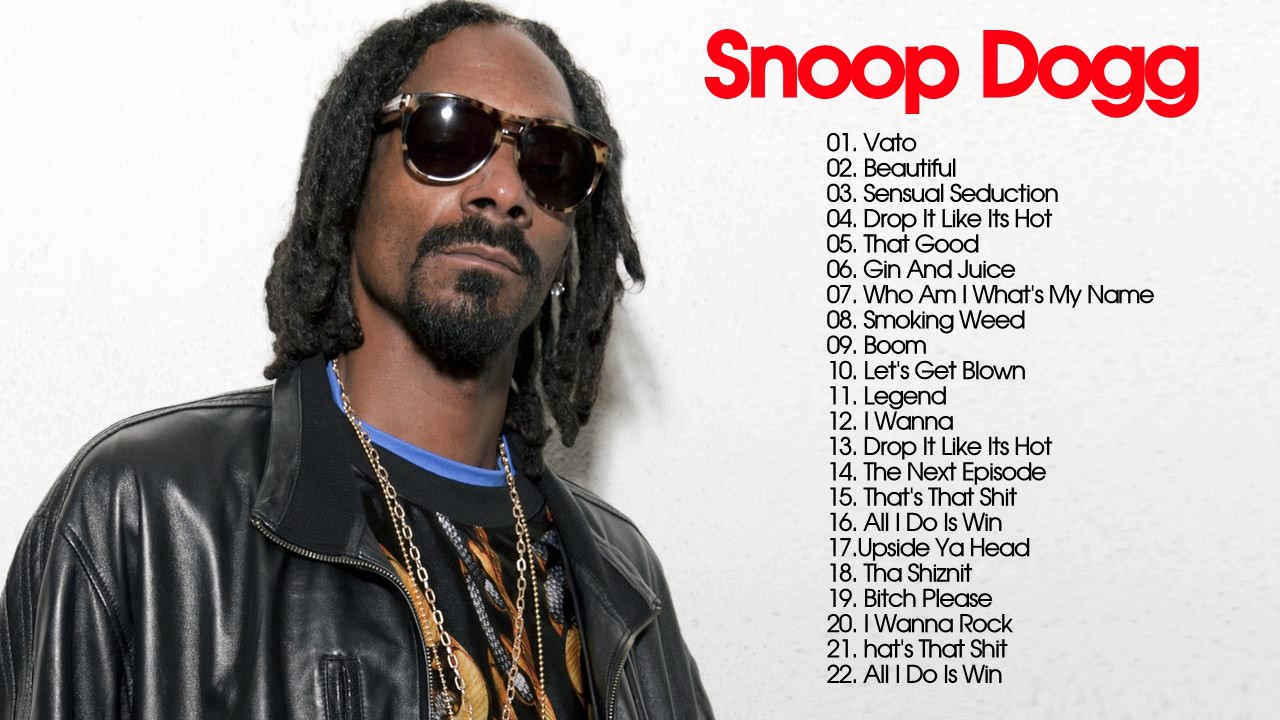 Snoop Dogg visual data 3