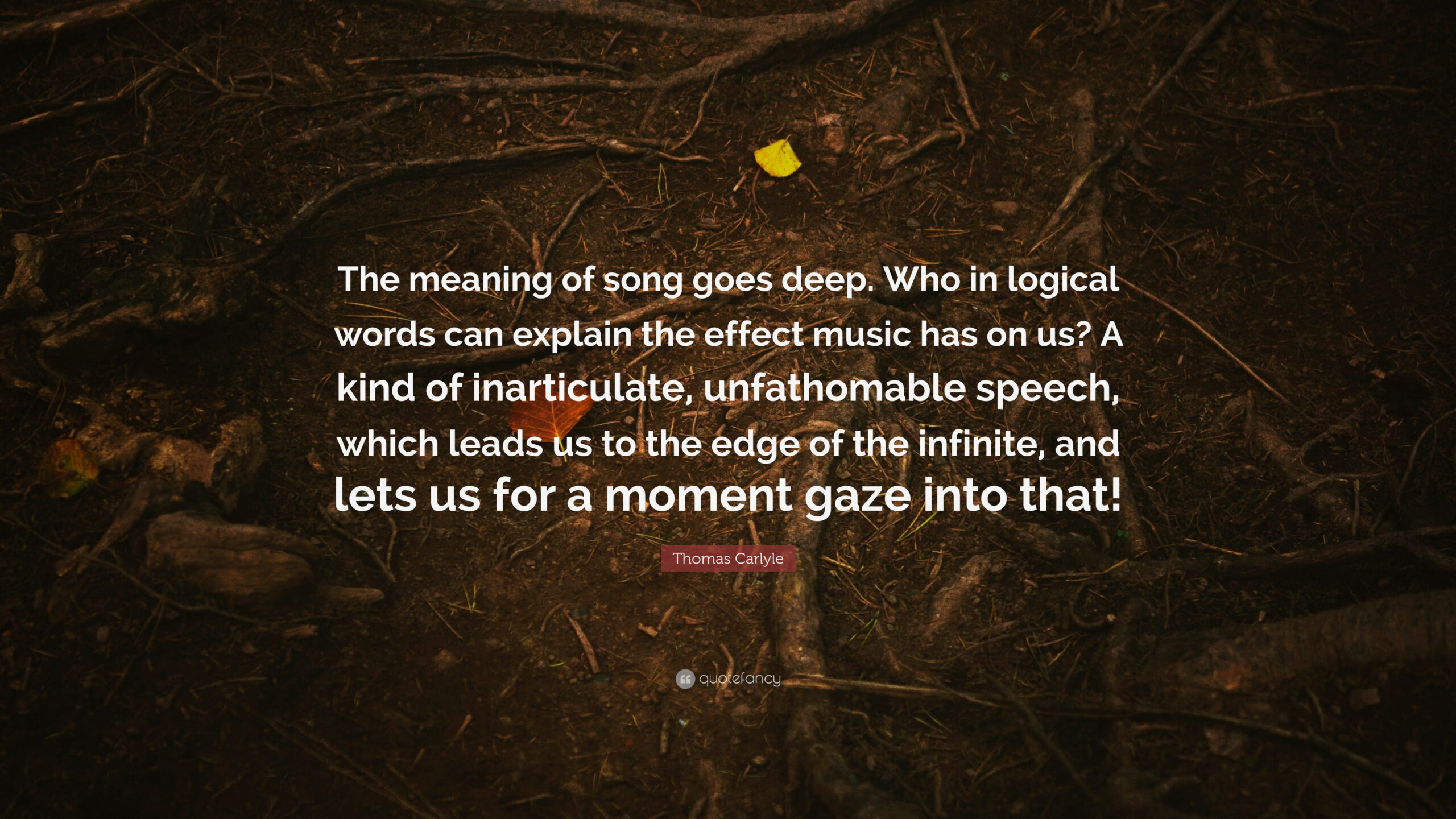 What is the meaning of the song nookie?