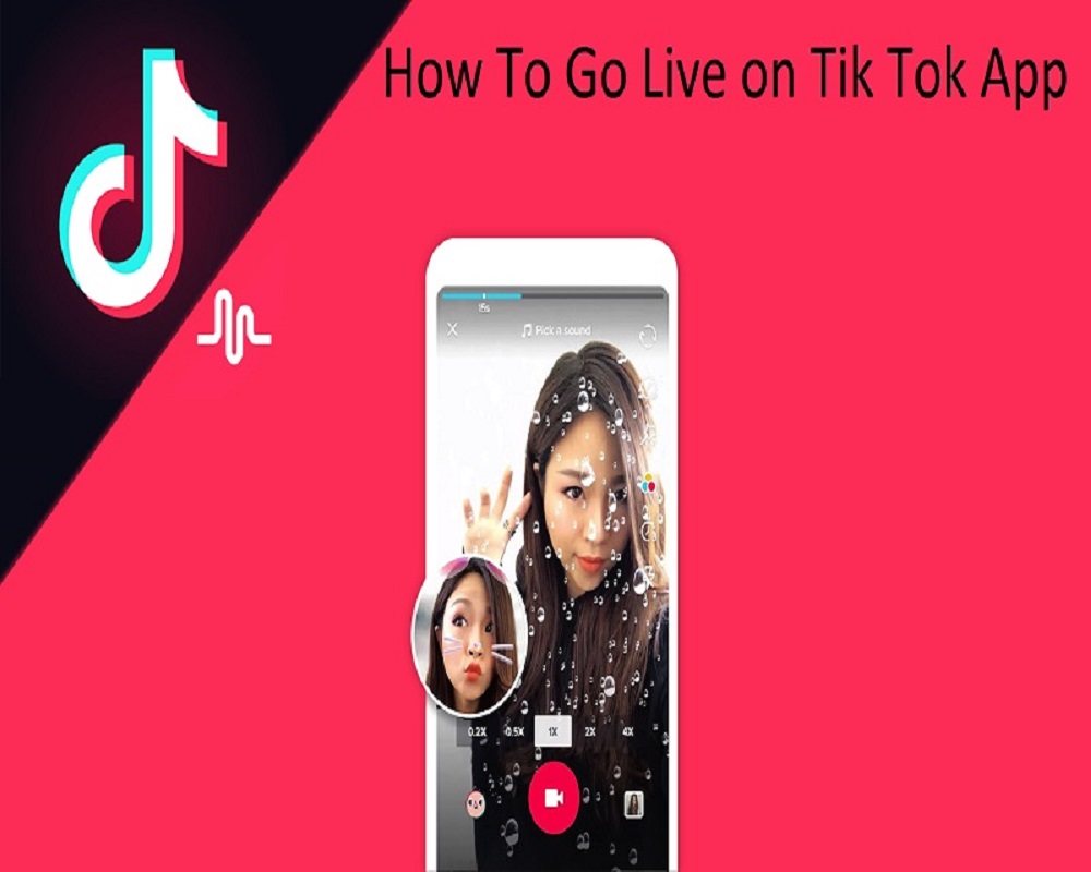 How do I search TikTok?