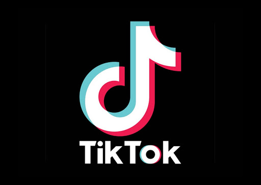 Can a 16 year old make money on TikTok?