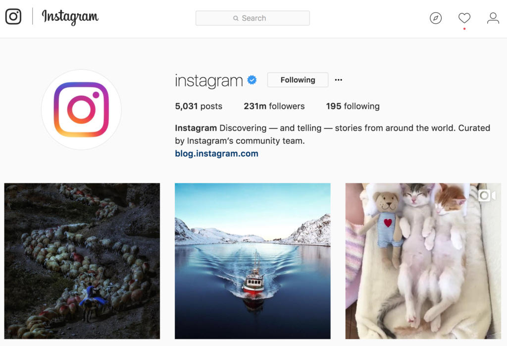 How much does it cost for Instagram verification?