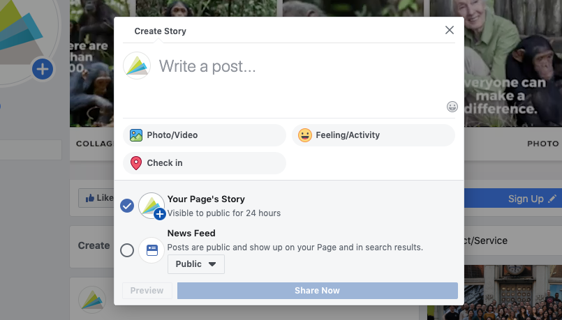 What are Facebook Stories for business?