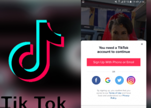 Where is the search bar on TikTok?