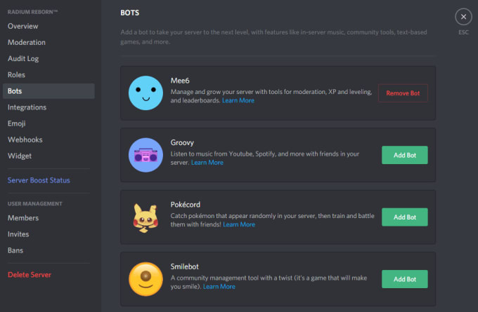 How do I make a bot admin on Discord?