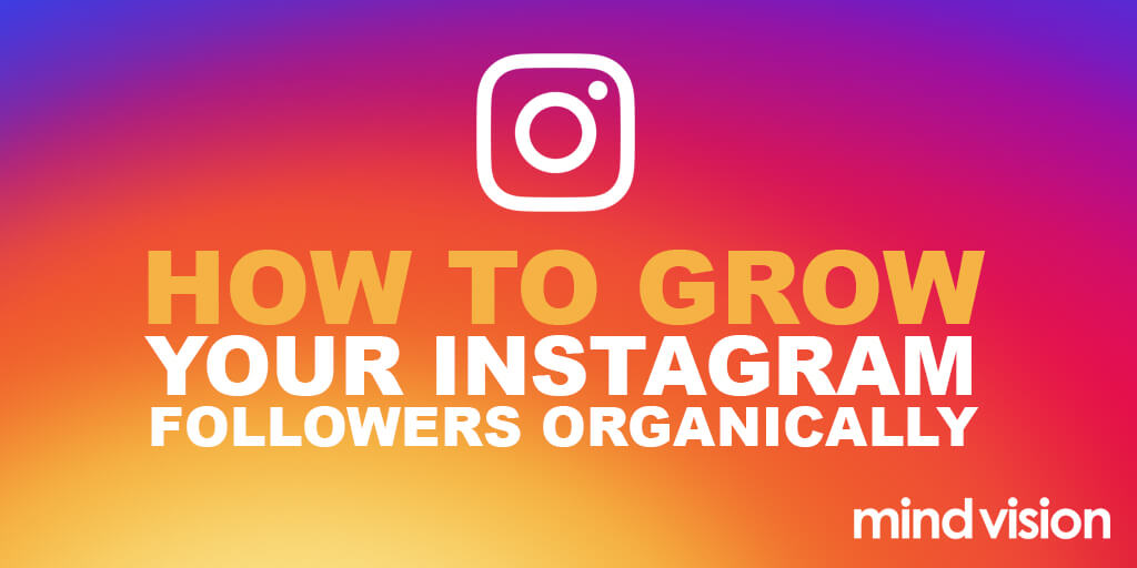 How do fitness influencers gain followers on Instagram?