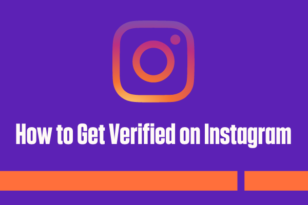 How Much Does IG Verification Cost 