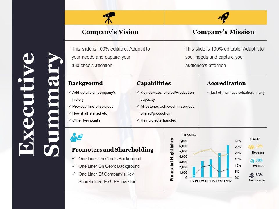 What is executive summary sample?