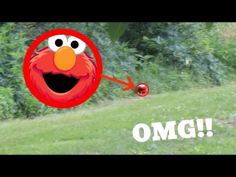 How old is Elmo the puppet?