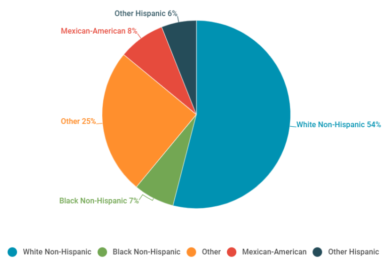 What Age Group Uses Pinterest The Most 