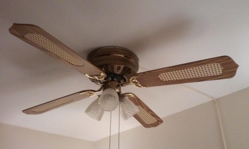 What does only fan mean?