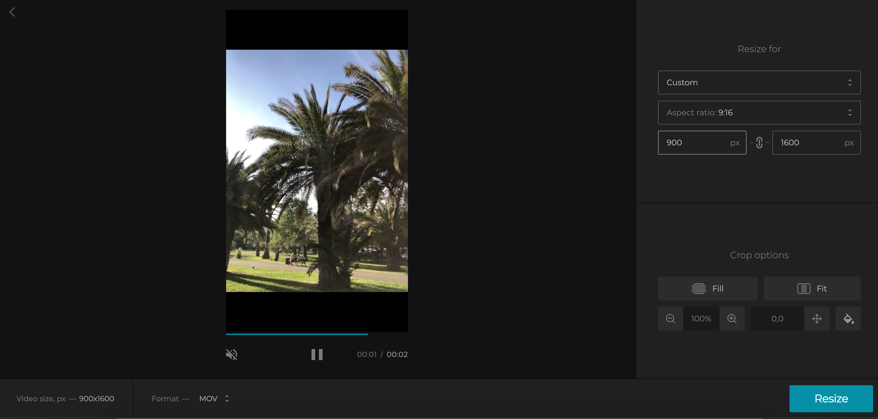 What is TikTok frame size?