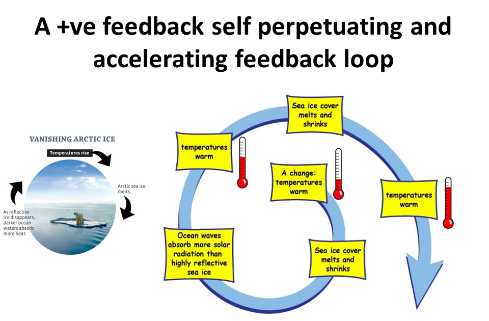 What is feedback loop in communication?