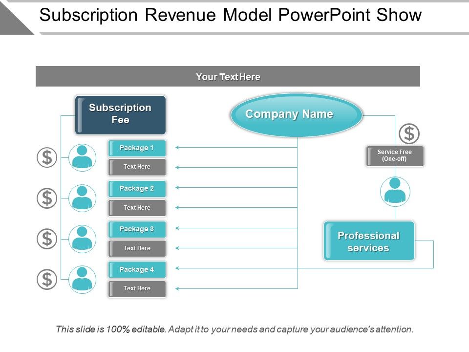 What are the 3 main types of revenue models?