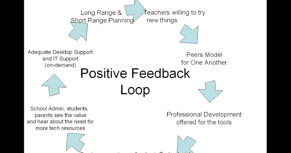 What are the different types of feedback techniques?