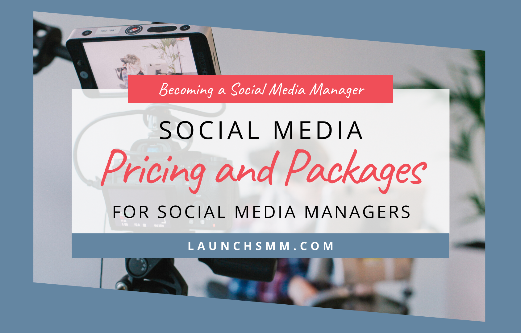 Package A Is Included What are marketing packages? – Famuse : #1 Models, Actors, Agencies ...