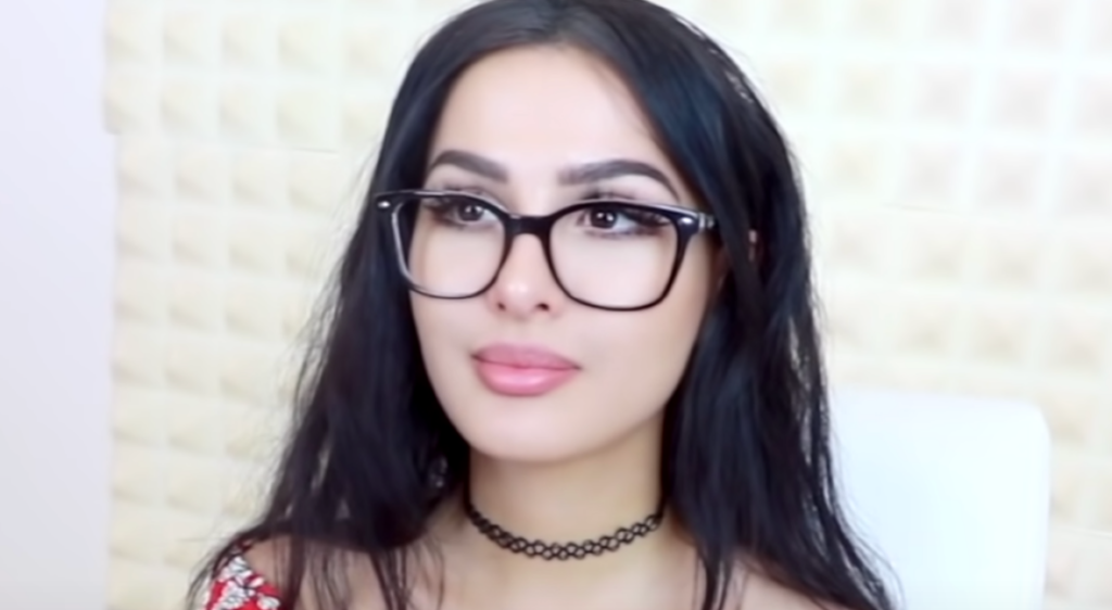 What is the salary of SSSniperwolf?