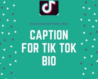 What is the best TikTok bio?