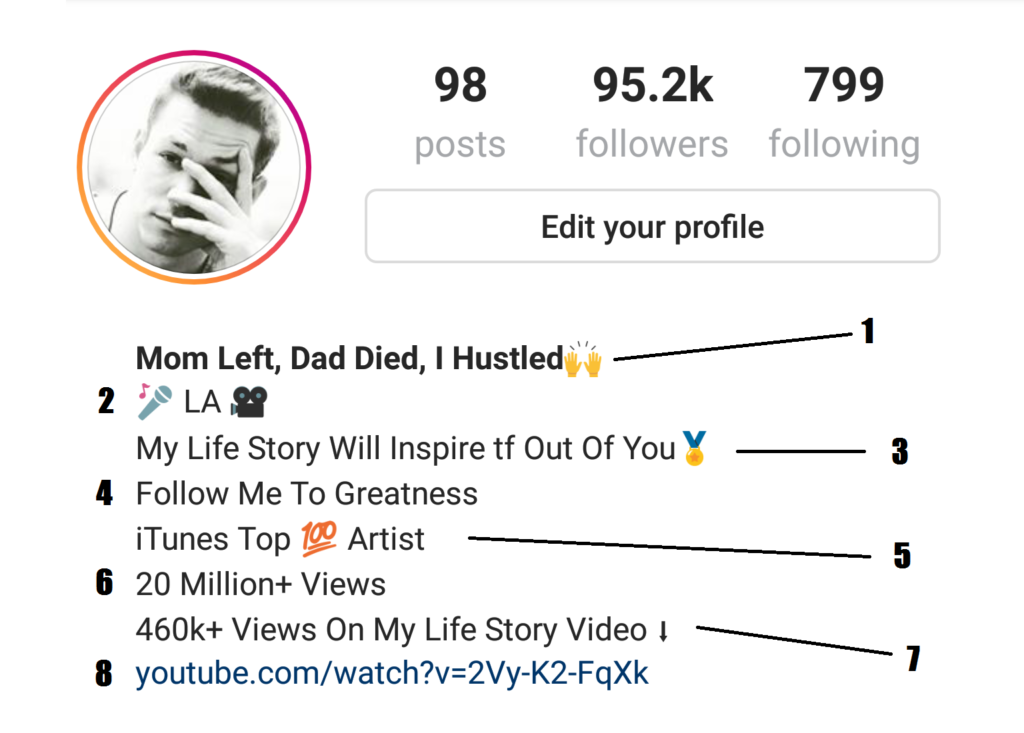 What is bio in Instagram?
