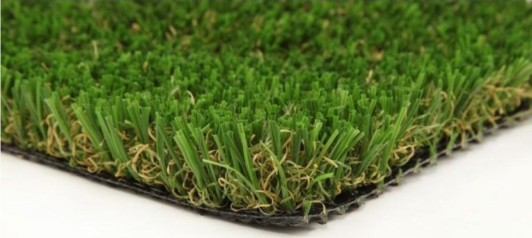 How long will cat grass last?