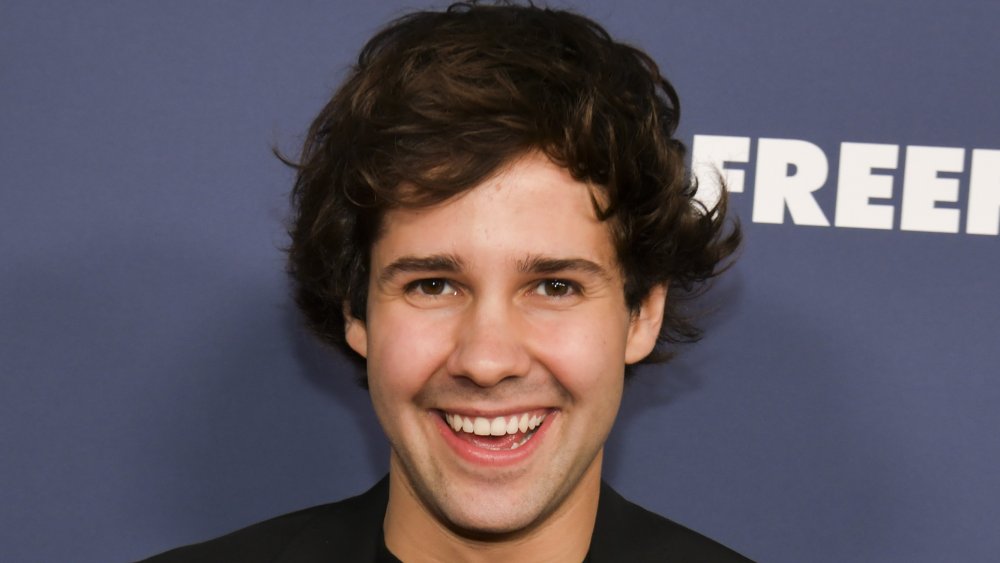 What part of Los Angeles does David Dobrik live in?